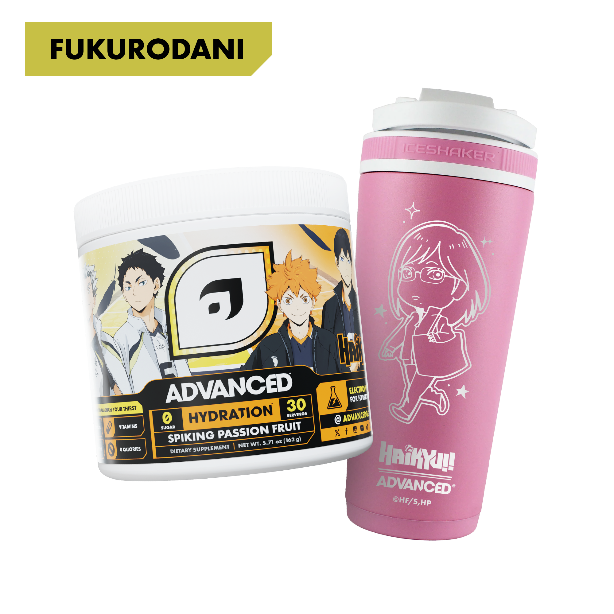 HAIKYU!! Shimizu Bundle