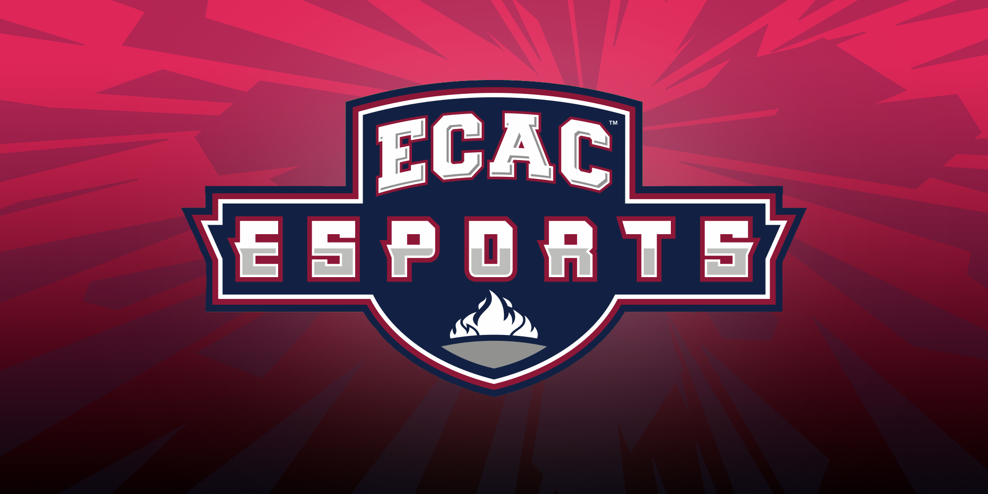 Partner ECAC